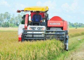 Nguồn cung gạo toàn cầu đang dư Theo số liệu thống kê, 3 tháng đầu năm 2026, xuất khẩu (XK) gạo của Việt Nam ghi nhận tăng trưởng về sản lượng nhưng chịu áp lực giảm về giá trị. Cụ thể, tính đến hết ngày 15/3, Việt Nam đã XK khoảng 1,74 triệu tấn gạo, đạt kim ngạch 826,2 triệu USD, với giá xuất khẩu bình quân 477,6 USD/tấn. So với cùng kỳ năm 2025, lượng XK tăng 2,3%, nhưng giá trị giảm 8,7%, giá bình quân giảm 10,7%. Diễn biến này phản ánh xu hướng giảm giá chung của thị trường gạo thế giới, đồng thời cho thấy áp lực cạnh tranh ngày càng lớn giữa các quốc gia XK. Đại diện Hiệp hội Lương thực Việt Nam (VFA) cho biết, hiện nay, thị trường gạo toàn cầu đang dư cung và giá ở mức thấp, các quốc gia XK gạo hàng đầu đã có các kế hoạch XK năm 2026 khá kỹ càng. Ví dụ, Thái Lan đã có sẵn nguồn hợp đồng cấp Chính phủ với Trung Quốc và Singapore, đồng thời mở rộng phân khúc gạo cao cấp sang các thị trường như Đức, Thụy Sĩ và Hoa Kỳ. Đáng chú ý, theo VFA, Trung Quốc cân nhắc nhập khẩu thêm 500.000 tấn từ Thái Lan nhằm đánh dấu kỷ niệm 50 năm thiết lập quan hệ ngoại giao. Tuy nhiên, tiến độ bị chậm lại vì nhiều lý do, trong đó có việc đàm phán giá khó khăn và giá gạo Thái Lan cao hơn so với Việt Nam và Ấn Độ. Trong khi đó, dự báo XK gạo của Ấn Độ trong tài khóa 2025/26 tăng hơn 10% nhờ mở rộng thị trường và đa dạng hóa sản phẩm gạo chế biến. Tình trạng dư cung vẫn đáng lo khi một số nước như Senegal, Indonesia, Philippines thay đổi về chính sách nhập khẩu. Chưa kể, tồn kho gạo của nước này tăng 12% so với cùng kỳ 2024. XK gạo Pakistan sang Trung Quốc đã tăng vọt trong năm 2025 phản ánh đà tăng trưởng thương mại mạnh mẽ hơn giữa hai quốc gia. Đà tăng trưởng này được thúc đẩy bởi giá cả cạnh tranh, chất lượng và công nghệ chế biến được cải thiện, cùng với hệ thống logistics được tăng cường, qua đó giúp Pakistan củng cố vị thế tại thị trường Trung Quốc và dự báo mở đường cho tăng trưởng XK trong thời gian tới. Cùng với đó, quốc gia này có kế hoạch tăng XK sang thị trường Bangladesh từ 60.000 tấn lên 200.000 tấn. Các quốc gia khác trong khu vực Đông Nam Á cũng đều đặt mục tiêu tăng trưởng XK gạo dù nguồn dư cung đang lớn ở toàn cầu. Cụ thể, mặc dù gặp nhiều khó khăn nhưng từ tháng 01/2026, Myanmar đã bắt đầu xuất khẩu gạo đồ và gạo trắng 5% tấm vào thị trường châu Âu. Bên cạnh đó, nước này dự kiến sẽ mở rộng thị trường XK gạo sang Philippines. Campuchia cũng đã đặt mục tiêu nâng lượng gạo XK lên 1 triệu tấn vào năm 2026, trong đó hơn 60% lượng gạo XK là gạo thơm hạt dài, phân khúc vẫn duy trì nhu cầu mạnh tại thị trường EU và Trung Quốc. Chính sách các nước nhập khẩu tiềm ẩn nhiều rủi ro Cục trưởng Cục Xuất nhập khẩu (Bộ Công Thương) Nguyễn Anh Sơn nhận định, XK gạo Việt Nam đang đối mặt với nhiều khó khăn, thách thức, như tình hình xung đột, bất ổn địa chính trị tại một số khu vực, đặc biệt là Trung Đông, làm gián đoạn chuỗi cung ứng và gia tăng chi phí logistics; nguồn cung gạo thế giới dồi dào trong khi cạnh tranh từ các nước XK lớn như Ấn Độ, Thái Lan, Pakistan ngày càng gay gắt; giá gạo XK có xu hướng giảm, ảnh hưởng đến hiệu quả kinh doanh. Bên cạnh đó, chi phí đầu vào cho sản xuất và vận chuyển vẫn ở mức cao; các quy định nhập khẩu ngày càng chặt chẽ (SPS, tiêu chuẩn chất lượng, truy xuất nguồn gốc…) tạo thêm rào cản cho doanh nghiệp. Ngoài ra, XK gạo của Việt Nam vẫn phụ thuộc lớn vào một số thị trường truyền thống, tiềm ẩn rủi ro khi các thị trường này thay đổi chính sách hoặc nhu cầu nhập khẩu. Theo VFA, năm 2026, cân đối cung - cầu lúa gạo của Việt Nam dự kiến tiếp tục được bảo đảm. Sản xuất lúa trong nước duy trì ổn định, với sản lượng ước khoảng 43 - 44 triệu tấn lúa, đáp ứng nhu cầu tiêu dùng trong nước, dự trữ và chế biến. Sau khi trừ nhu cầu cho tiêu dùng nội địa, giống, chế biến và dự trữ lưu thông theo quy định, lượng gạo hàng hóa còn lại vẫn bảo đảm phục vụ XK. Tuy nhiên, VFA cũng cho rằng, hoạt động XK gạo trong năm 2026 có thể chịu tác động từ biến động của thị trường quốc tế, đặc biệt là sự điều chỉnh chính sách nhập khẩu của một số thị trường lớn và cạnh tranh gia tăng giữa các nước XK gạo. Trong bối cảnh đó, XK gạo của Việt Nam dự kiến đạt khoảng 7 triệu tấn, với kim ngạch có thể giảm nhẹ do mặt bằng giá gạo thế giới giảm. VFA cho rằng, việc điều hành XK cần tiếp tục được thực hiện linh hoạt nhằm bảo đảm cân đối cung - cầu trong nước và ổn định thị trường lúa gạo. Lãnh đạo Bộ Công Thương nhận định, năm 2026, XK gạo sẽ tiếp tục đối mặt với nhiều thách thức từ biến động thị trường toàn cầu và cạnh tranh gia tăng. Do đó, yêu cầu các Bộ, ngành, địa phương và doanh nghiệp chuyển từ trạng thái “ứng phó” sang “chủ động thích ứng”, linh hoạt điều chỉnh chiến lược thị trường và tận dụng hiệu quả các hiệp định thương mại tự do. Đồng thời, công tác điều hành cần bám sát diễn biến thực tế, nâng cao năng lực phân tích, dự báo và phản ứng chính sách kịp thời, không để rơi vào thế bị động. Việc điều hành XK phải bảo đảm hài hòa giữa mục tiêu tiêu thụ lúa gạo hàng hóa, ổn định giá trong nước và giữ vững an ninh lương thực quốc gia.