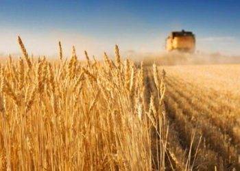 Giá Đồng Tiếp Tục Tăng Qua Đêm