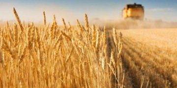 Giá Đồng Tiếp Tục Tăng Qua Đêm