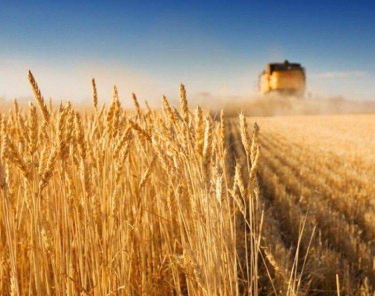 Giá Đồng Tiếp Tục Tăng Qua Đêm