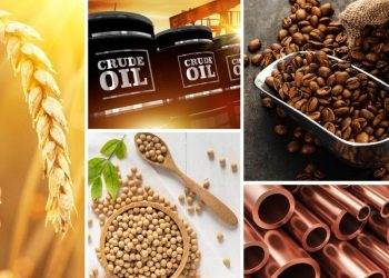 Kinh Nghiệm Đầu Tư Hàng Hóa Cho Người Mới