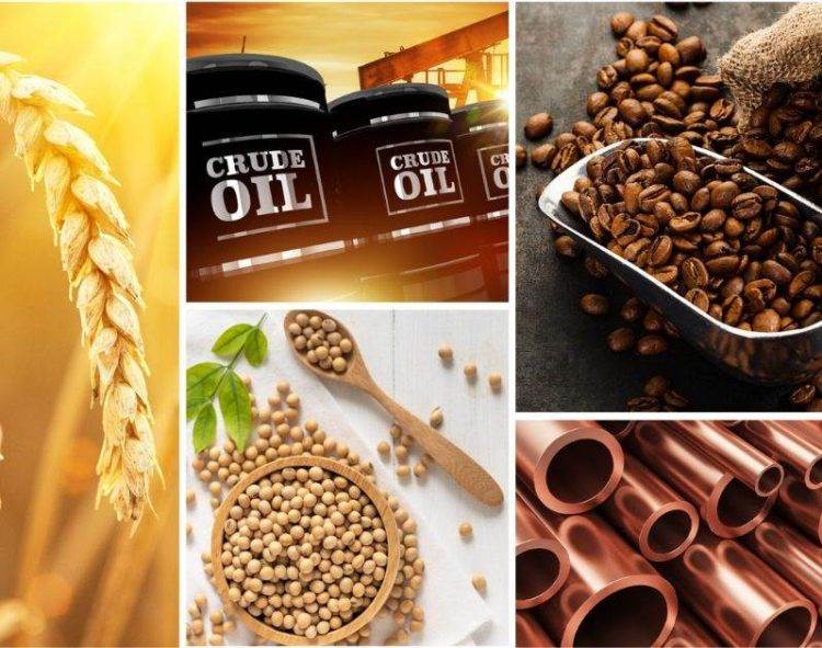 Kinh Nghiệm Đầu Tư Hàng Hóa Cho Người Mới