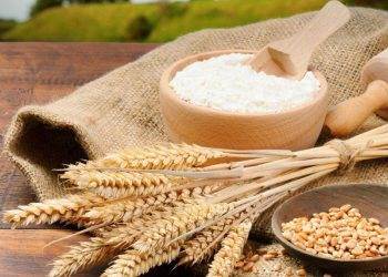 Xuất Khẩu Ngũ Cốc Của Canada Tụt Hậu So Với Năm Ngoái 9%