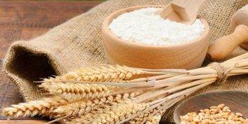 Xuất Khẩu Ngũ Cốc Của Canada Tụt Hậu So Với Năm Ngoái 9%