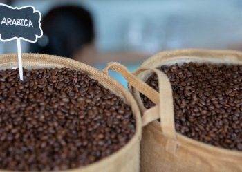 Giữ Vững Tâm Lý Giao Dịch Khi Đầu Tư Hàng Hóa