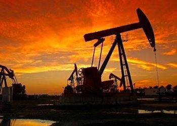 Tổng Hợp Lương Thực Toàn Cầu: Lo Ngại Về Giá Cả Cao Hơn Và Thương Mại Không Công Bằng