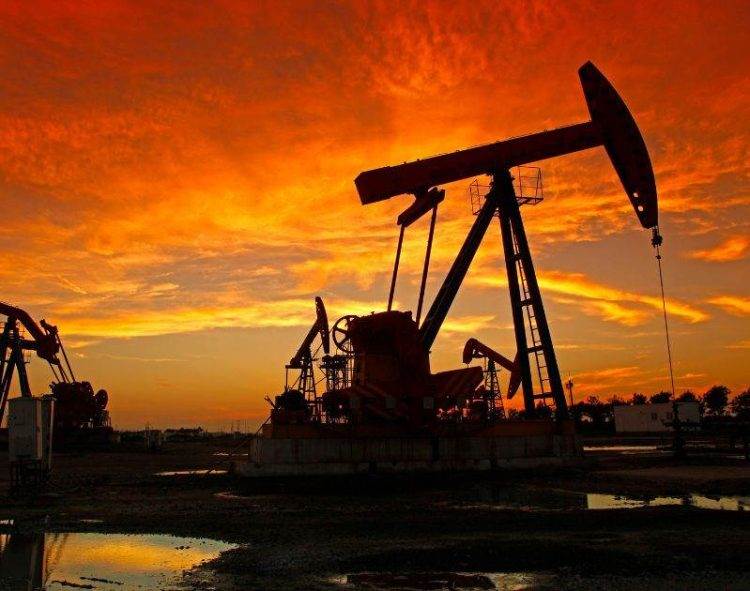 Tổng Hợp Lương Thực Toàn Cầu: Lo Ngại Về Giá Cả Cao Hơn Và Thương Mại Không Công Bằng