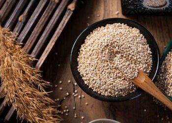 Tổng Hợp Lương Thực Toàn Cầu: Lo Ngại Về Giá Cả Cao Hơn Và Thương Mại Không Công Bằng