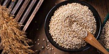 Tổng Hợp Lương Thực Toàn Cầu: Lo Ngại Về Giá Cả Cao Hơn Và Thương Mại Không Công Bằng