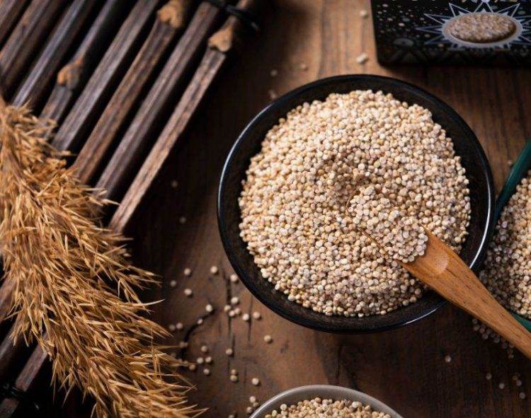 Tổng Hợp Lương Thực Toàn Cầu: Lo Ngại Về Giá Cả Cao Hơn Và Thương Mại Không Công Bằng