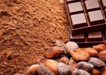 Tổng Hợp Lương Thực Toàn Cầu: Lo Ngại Về Giá Cả Cao Hơn Và Thương Mại Không Công Bằng