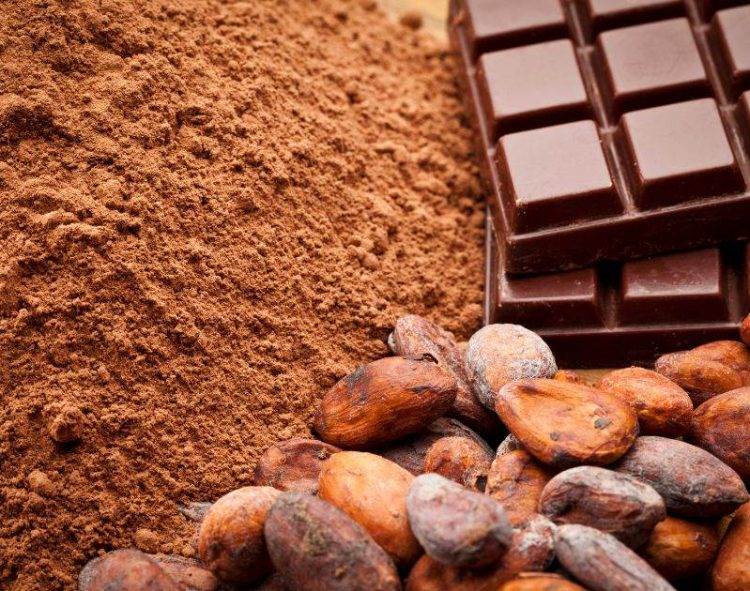 Tổng Hợp Lương Thực Toàn Cầu: Lo Ngại Về Giá Cả Cao Hơn Và Thương Mại Không Công Bằng