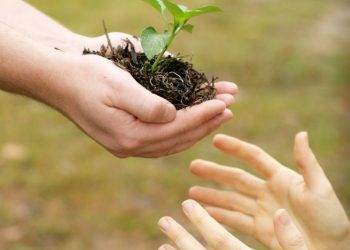 Đầu Năm Edu Trade Gieo Duyên Thuận Lợi