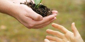 Đầu Năm Edu Trade Gieo Duyên Thuận Lợi