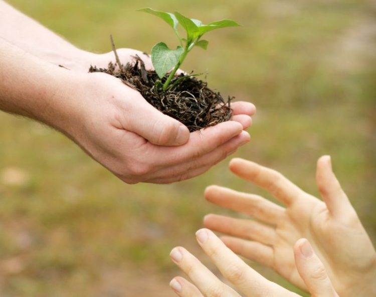 Đầu Năm Edu Trade Gieo Duyên Thuận Lợi