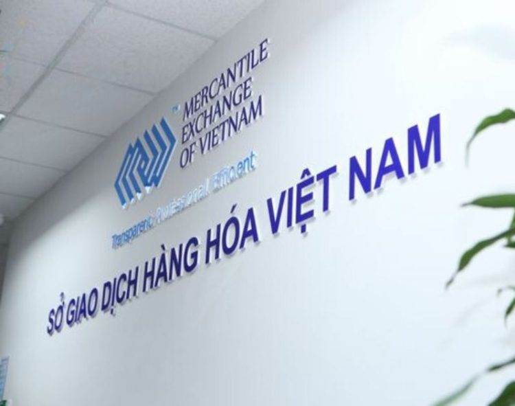 Sở Giao Dịch Hàng Hóa Uy Tín Việt Nam Bạn Nên Biết