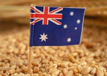 Abares Dự Báo Lúa Mì Đạt 29,1 Triệu Tấn