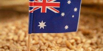 Abares Dự Báo Lúa Mì Đạt 29,1 Triệu Tấn