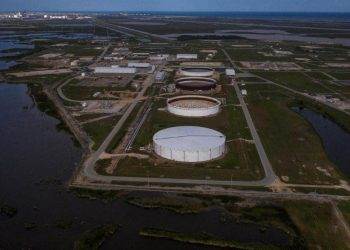 CIMMYT Và Trung Quốc Hợp Tác Giải Quyết Bệnh Lúa Mì Ở Châu Phi