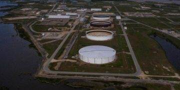 CIMMYT Và Trung Quốc Hợp Tác Giải Quyết Bệnh Lúa Mì Ở Châu Phi