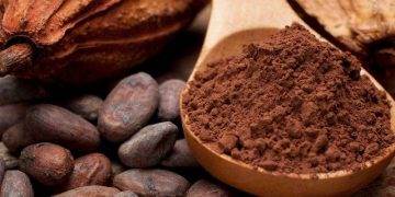 Ukraine Xuất Khẩu Hơn 46,3 Triệu Tấn Ngũ Cốc