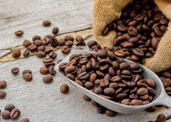 Ukraine Xuất Khẩu Hơn 46,3 Triệu Tấn Ngũ Cốc