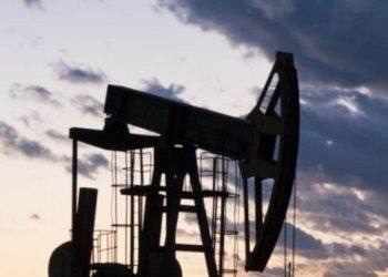 Ukraine Xuất Khẩu Hơn 46,3 Triệu Tấn Ngũ Cốc