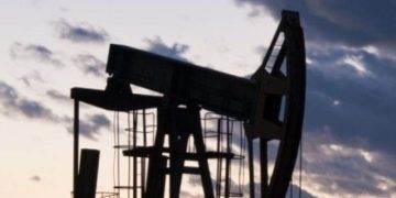 Ukraine Xuất Khẩu Hơn 46,3 Triệu Tấn Ngũ Cốc