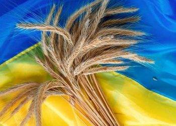 Ukraine Xuất Khẩu Hơn 46,3 Triệu Tấn Ngũ Cốc