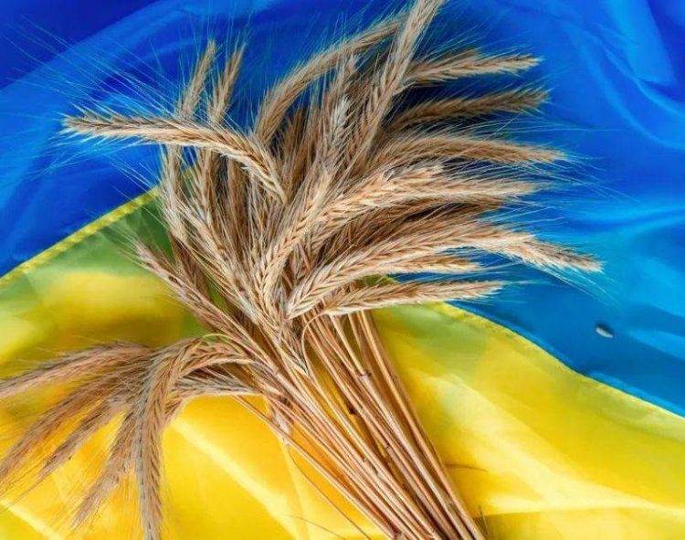Ukraine Xuất Khẩu Hơn 46,3 Triệu Tấn Ngũ Cốc