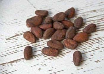 Giá Ca Cao Trên Đà Tăng Gần Đây