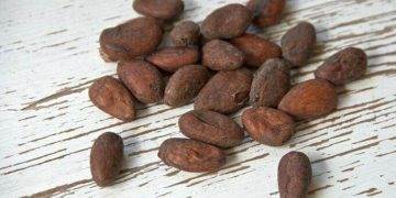 Giá Ca Cao Trên Đà Tăng Gần Đây