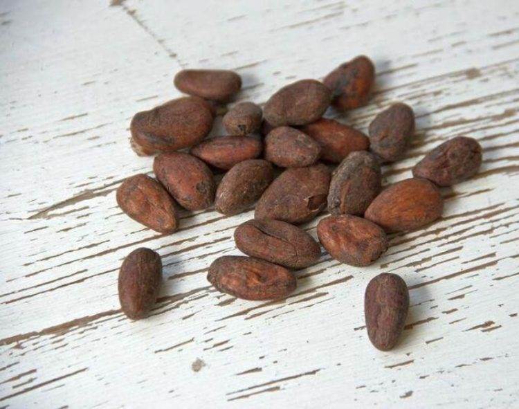 Giá Ca Cao Trên Đà Tăng Gần Đây