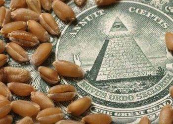 Việc Indonesia Trì Hoãn Lệnh Cấm Xuất Khẩu Đồng Có Thể Đè Nặng Lên Giá 