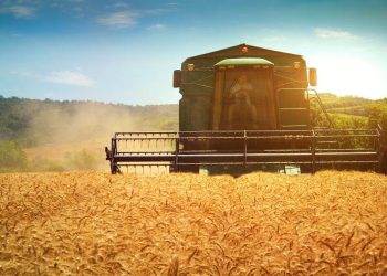 Việc Indonesia Trì Hoãn Lệnh Cấm Xuất Khẩu Đồng Có Thể Đè Nặng Lên Giá 