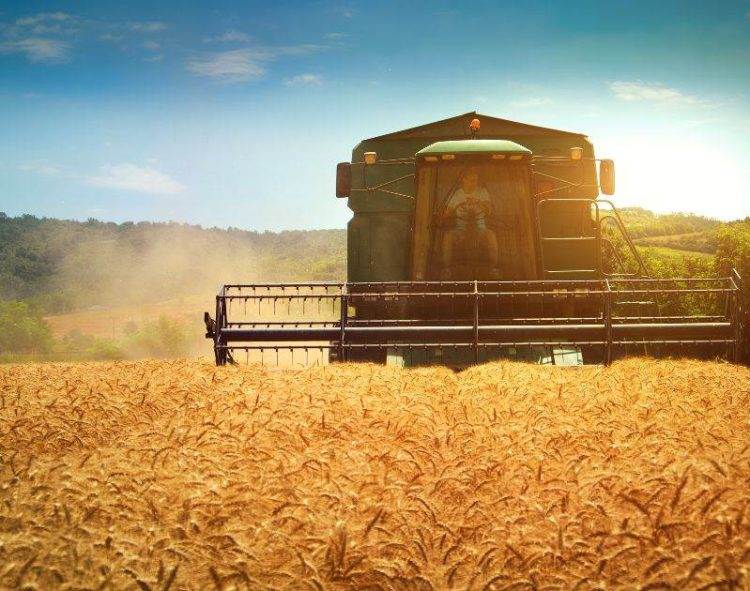 Việc Indonesia Trì Hoãn Lệnh Cấm Xuất Khẩu Đồng Có Thể Đè Nặng Lên Giá