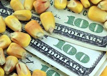 Việc Indonesia Trì Hoãn Lệnh Cấm Xuất Khẩu Đồng Có Thể Đè Nặng Lên Giá 