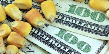 Việc Indonesia Trì Hoãn Lệnh Cấm Xuất Khẩu Đồng Có Thể Đè Nặng Lên Giá 