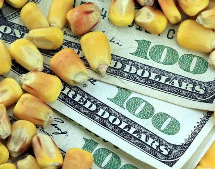 Việc Indonesia Trì Hoãn Lệnh Cấm Xuất Khẩu Đồng Có Thể Đè Nặng Lên Giá