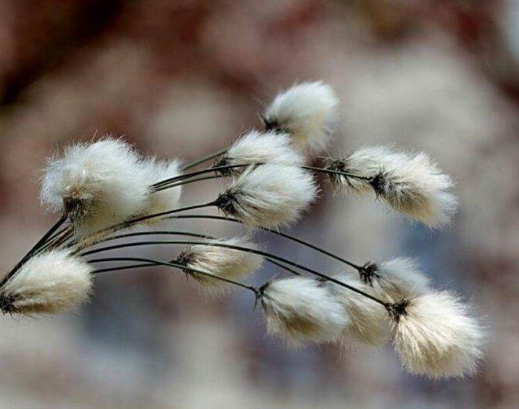 Indonesia Cấp Giấy Phép Xuất Khẩu Đồng Cho Freeport, Amman