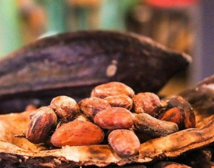 Indonesia Cấp Giấy Phép Xuất Khẩu Đồng Cho Freeport, Amman