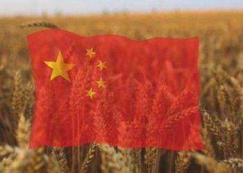 Trung Quốc Thu Hoạch Hơn Một Nửa Lúa Mì Vụ Đông