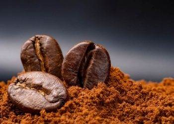 Giá Cà Phê Giảm Do Tốc Độ Thu Hoạch Của Brazil Tăng Nhanh