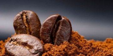 Giá Cà Phê Giảm Do Tốc Độ Thu Hoạch Của Brazil Tăng Nhanh