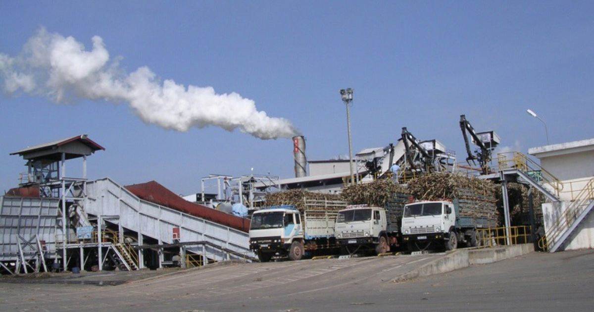 Giá Đường Giảm Do Đồng Real Brazil Yếu Đi 