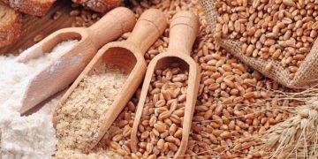 Lúa Mì Ở Chicago Giảm 16¢