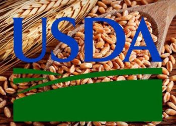 Các Nhà Phân Tích USDA Dự Báo Vụ Lúa Mì Ở Ukraine
