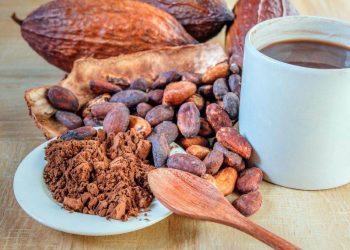 Giá Ca Cao Tăng Mạnh Do Lo Ngại Thiếu Hụt Nguồn Cung Kéo Dài