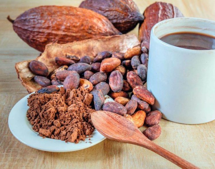 Giá Ca Cao Tăng Mạnh Do Lo Ngại Thiếu Hụt Nguồn Cung Kéo Dài