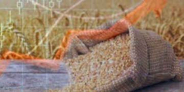 Giá Lúa Mì Thế Giới Tăng Do Thu Hoạch Lúa Mì Thấp Ở Nga